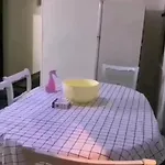 القاهرة حدائق القبة